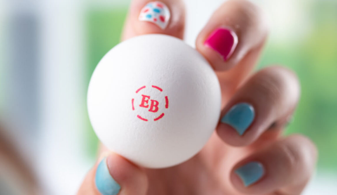 A closeup of an Egglan'd Best egg in a person's hand.