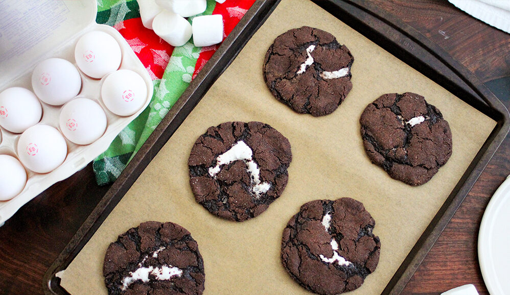 Photo of Marshmallow Stuffed Hot Cocoa Cookies