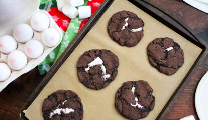 Marshmallow Stuffed Hot Cocoa Cookies