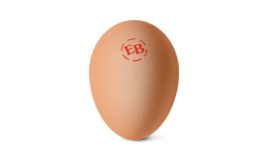 Single Eggland's Best Brown Egg