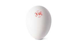 Single Eggland's Best White Egg
